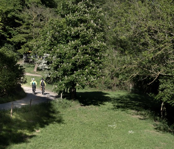Faire du vélo dans la Rureifel, © Dennis Stratmann | Grünmetropole e.V. Faire du vélo dans la Rureifel, © Dennis Stratmann | Grünmetropole e.V.