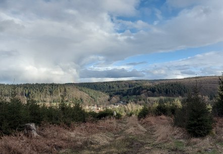 März Aussicht (co) Theißen-Braun März Aussicht (co) Theißen-Braun