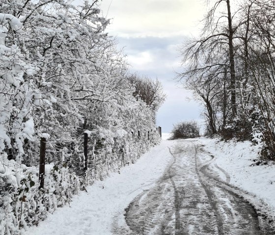 Wandern durch den Schnee Wandern durch den Schnee