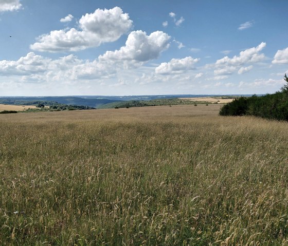 Nationalpark Eifel Nationalpark Eifel