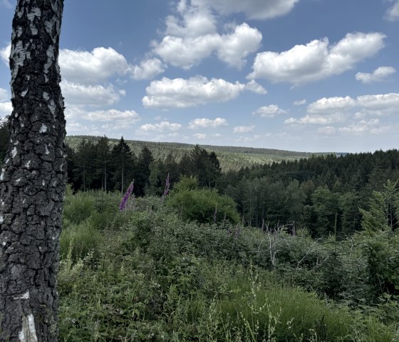 IMG_6738, © Rureifel-Tourismus e.V., Dennis Winands IMG_6738, © Rureifel-Tourismus e.V., Dennis Winands