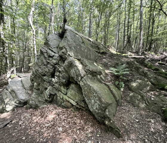 Fels entlang der Tour, © Rureifel-Tourismus e.V., Dennis Winands Fels entlang der Tour, © Rureifel-Tourismus e.V., Dennis Winands