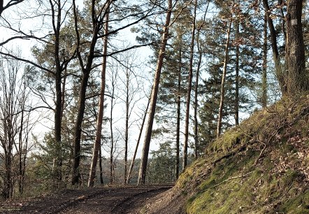 Februarweg (co) Theißen-Braun Februarweg (co) Theißen-Braun