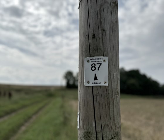 IMG_7617, © Rureifel-Tourismus e.V., Dennis Winands IMG_7617, © Rureifel-Tourismus e.V., Dennis Winands