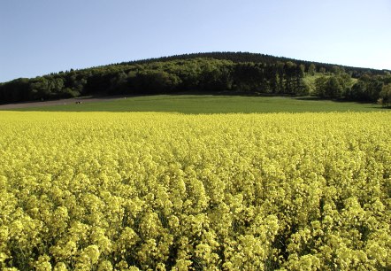 Bovenbergrunde Bovenbergrunde