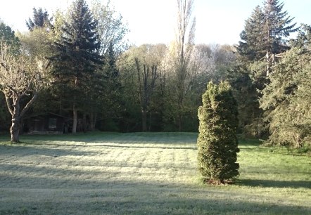 Blick in den Garten Blick in den Garten