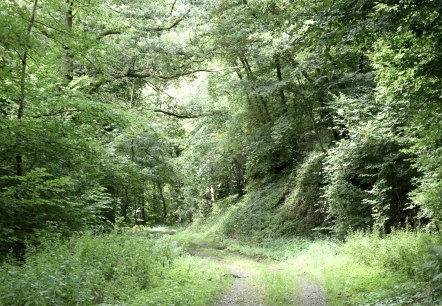 Weidenbachtal, © Eifel heimisch Weidenbachtal, © Eifel heimisch