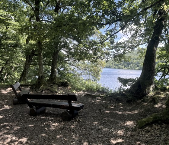 Ausblick auf das Staubecken, © Rureifel-Tourismus e.V., Dennis Winands Ausblick auf das Staubecken, © Rureifel-Tourismus e.V., Dennis Winands