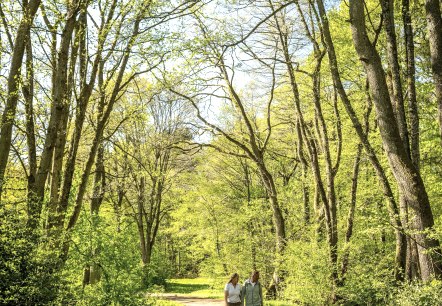 Wanderung, © Städteregion Aachen, Dominik Ketz Wanderung, © Städteregion Aachen, Dominik Ketz