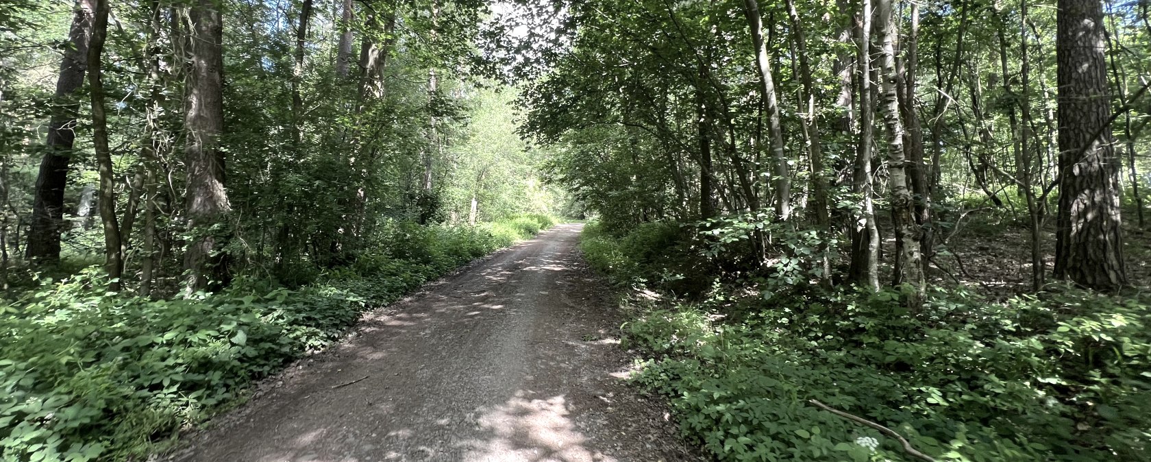 Entlang der Wanderung Nr. 09, © Rureifel-Tourismus e.V., Michelle Wiesen Entlang der Wanderung Nr. 09, © Rureifel-Tourismus e.V., Michelle Wiesen