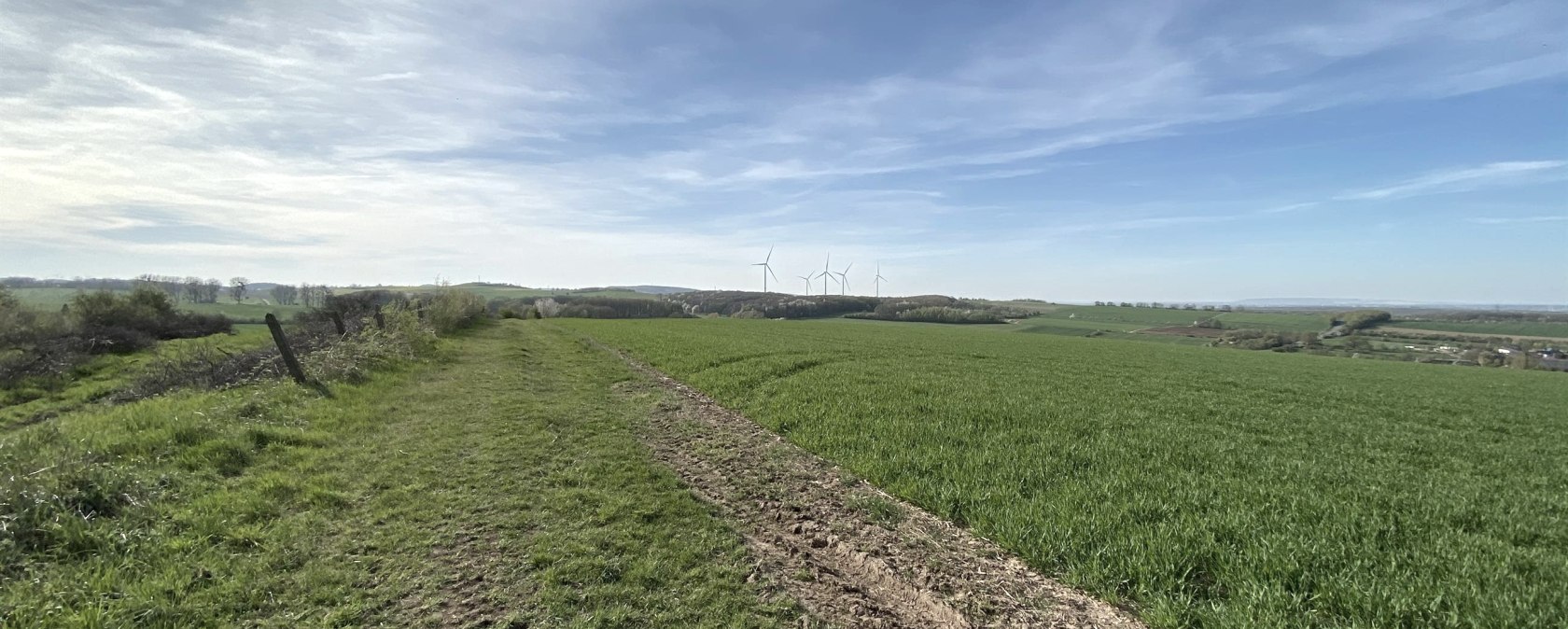 Blick in die Bördelandschaft, © Rureifel-Tourismus e.V. Blick in die Bördelandschaft, © Rureifel-Tourismus e.V.