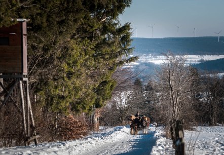 Bauershof Mützenich, © Akim-Tierfotografie Bauershof Mützenich, © Akim-Tierfotografie