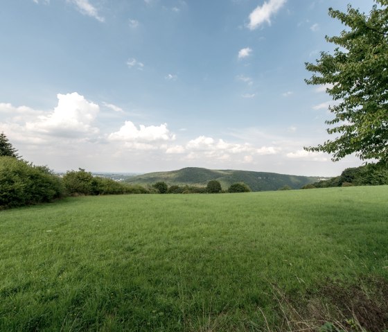 Ausblick Weidefläche, © some.oner Ausblick Weidefläche, © some.oner