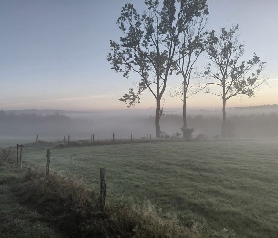 Nebel am Morgen in Kaltherberg Nebel am Morgen in Kaltherberg
