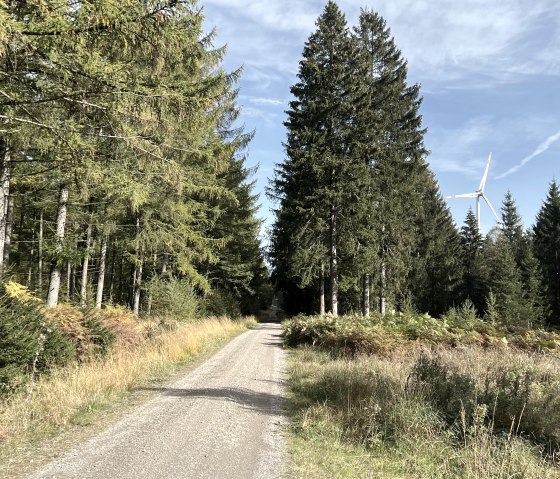 IMG_4912, © Rureifel-Tourismus e.V., Michelle Wiesen IMG_4912, © Rureifel-Tourismus e.V., Michelle Wiesen