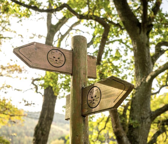 Wildnis-Trail Wegweiser, © Eifel Tourismus GmbH, Dominik Ketz Wildnis-Trail Wegweiser, © Eifel Tourismus GmbH, Dominik Ketz