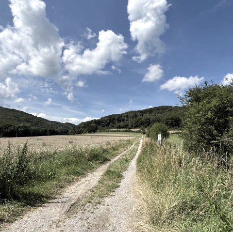 IMG_2344, © Rureifel-Tourismus e.V., Michelle Wiesen IMG_2344, © Rureifel-Tourismus e.V., Michelle Wiesen