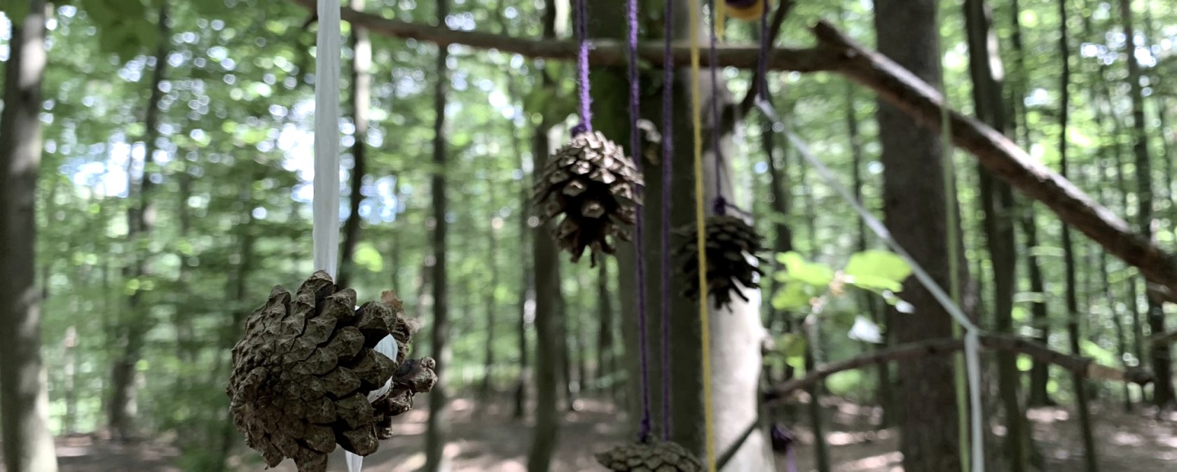 Waldspielgrupp, © JacQui Khonnguluam Waldspielgrupp, © JacQui Khonnguluam