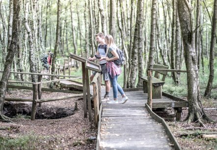 Der 4,5 Kilometer lange Bodenlehrpfad Todtenbruch in Hürtgenwald-Raffelsbrand führt auf circa 700 Metern über Holzbohlen durch ein einzigartiges Hochmoor., © Dennis Stratmann / Kreis Düren Der 4,5 Kilometer lange Bodenlehrpfad Todtenbruch in Hürtgenwald-Raffelsbrand führt auf circa 700 Metern über Holzbohlen durch ein einzigartiges Hochmoor., © Dennis Stratmann / Kreis Düren