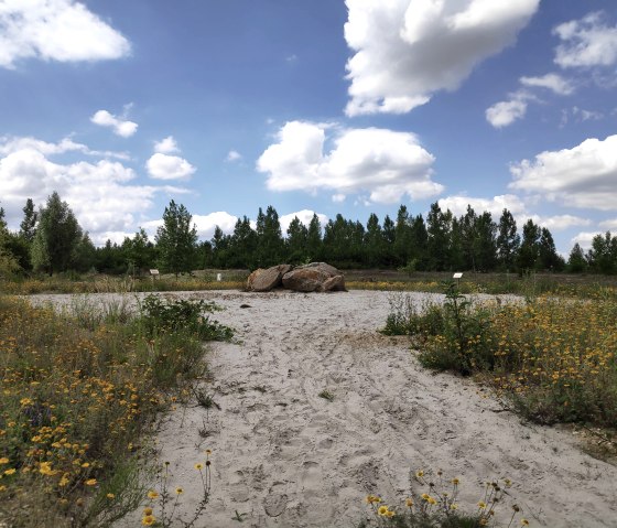 Keltischer Baumkreis Sophienhöhe, © Sophia Eckerle | Kreis Düren Keltischer Baumkreis Sophienhöhe, © Sophia Eckerle | Kreis Düren