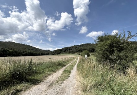 Entlang der Tour, © Rureifel-Tourismus e.V., Michelle Wiesen Entlang der Tour, © Rureifel-Tourismus e.V., Michelle Wiesen