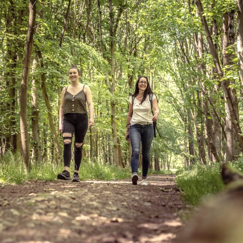 Rurauen, © Dennis Stratmann | Kreis Düren Rurauen, © Dennis Stratmann | Kreis Düren