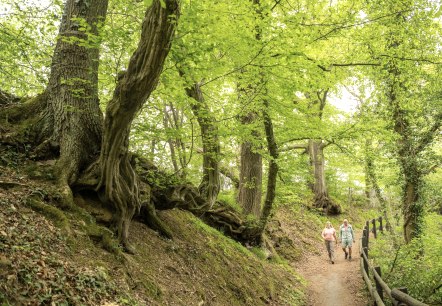 Beim Kloster Zweifall, © Kupferstadt Stolberg, Dominik Ketz Beim Kloster Zweifall, © Kupferstadt Stolberg, Dominik Ketz
