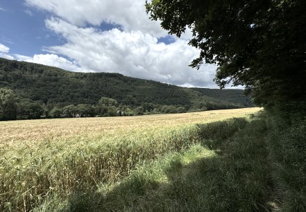 Ausblick, © Rureifel-Tourismus e.V., Dennis Winands Ausblick, © Rureifel-Tourismus e.V., Dennis Winands