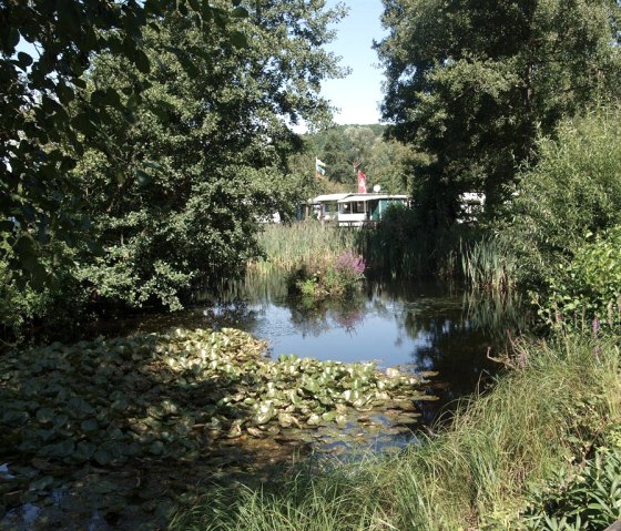 Teich am Campingplatz, © Campingplatz Felsenblick Teich am Campingplatz, © Campingplatz Felsenblick