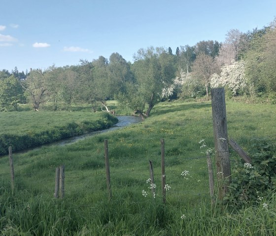 Frühlingsweg Gedau Münsterbach Mai(co) Theißen-Bra Frühlingsweg Gedau Münsterbach Mai(co) Theißen-Bra