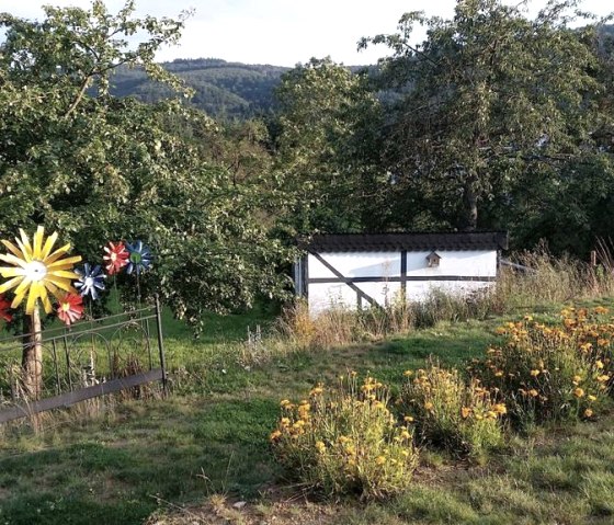 Garten, © Katryn Kaufmann - Hinter den Spiegeln Garten, © Katryn Kaufmann - Hinter den Spiegeln