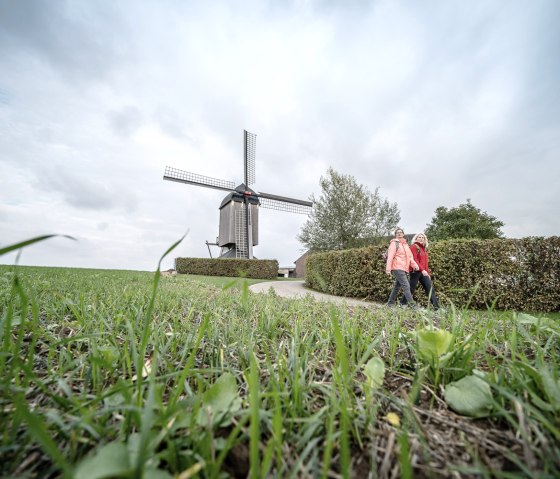 Düppelsmühle bei Titz, © Dennis Stratmann | Kreis Düren Düppelsmühle bei Titz, © Dennis Stratmann | Kreis Düren