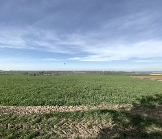 Weitsichten in der Bördelandschaft, © Rureifel-Tourismus e.V. Weitsichten in der Bördelandschaft, © Rureifel-Tourismus e.V.