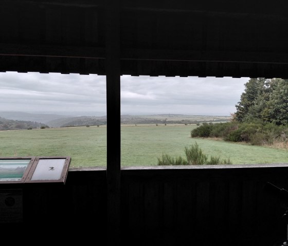 Nationalpark Eifel- Rotwidlempore Nationalpark Eifel- Rotwidlempore