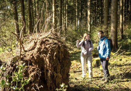 Vichtbach, © Kupferstadt Stolberg, Dominik Ketz Vichtbach, © Kupferstadt Stolberg, Dominik Ketz