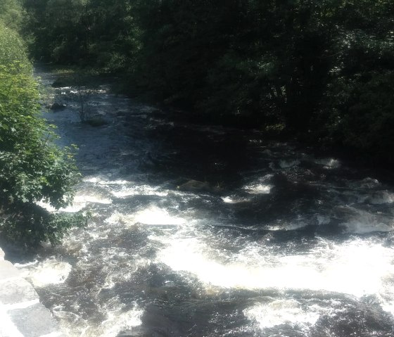 Die Rur direkt vor der Tür Die Rur direkt vor der Tür