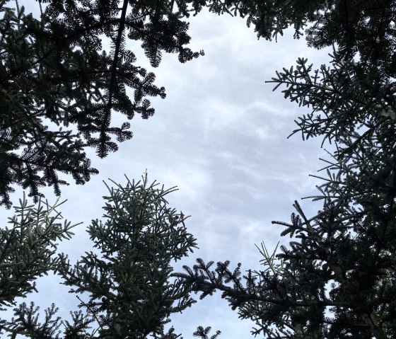 Aussichten zum Entspannen, © Anne Knein Aussichten zum Entspannen, © Anne Knein