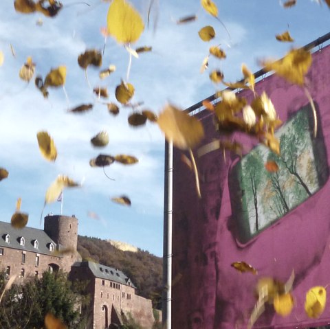 C'est parti ! C'est parti !