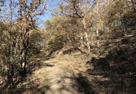 Wanderung Nr. 68, © Rureifel-Tourismus e.V. Wanderung Nr. 68, © Rureifel-Tourismus e.V.