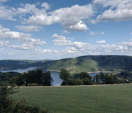 Rurseeaussicht Juli-Augsut (co) Theißen-Braun Rurseeaussicht Juli-Augsut (co) Theißen-Braun