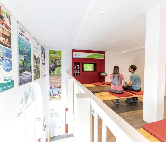 Erfahren Sie hier mehr über den Nationalpark Eifel, © Eifel Tourismus GmbH, AR - shapefruit AG Erfahren Sie hier mehr über den Nationalpark Eifel, © Eifel Tourismus GmbH, AR - shapefruit AG