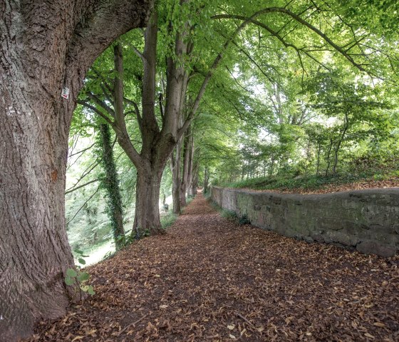Op het kasteel, © some.oner Op het kasteel, © some.oner