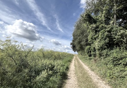 Kreuzau 1 - Nr. 22, © Rureifel-Tourismus e.V., Michelle Wiesen Kreuzau 1 - Nr. 22, © Rureifel-Tourismus e.V., Michelle Wiesen