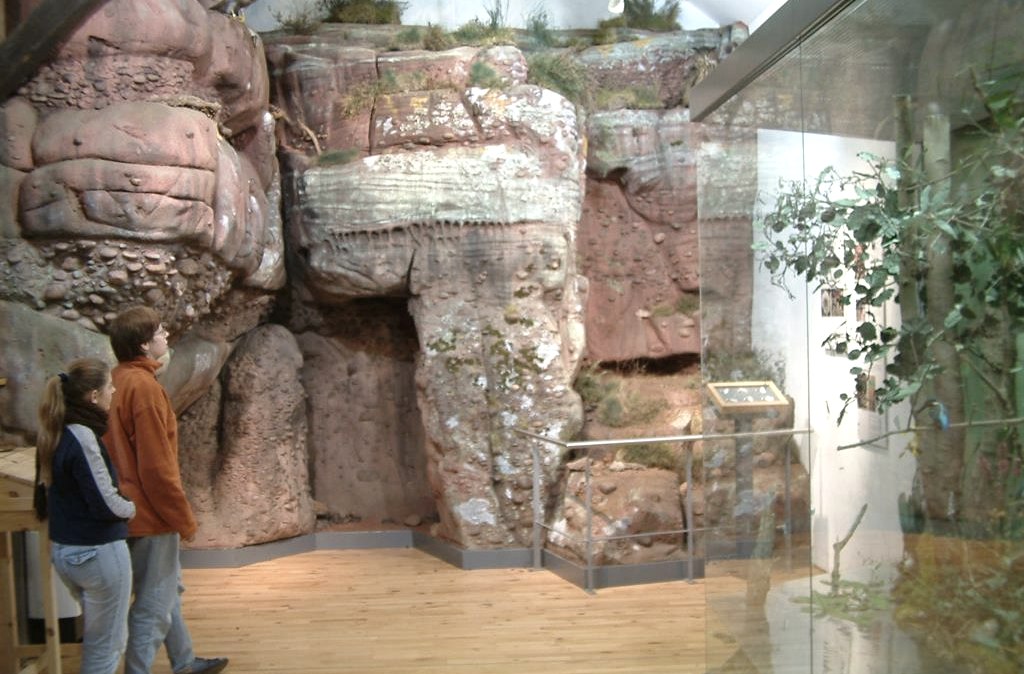 Die Ausstellung Rur & Fels, © Biostation Düren Die Ausstellung Rur & Fels, © Biostation Düren