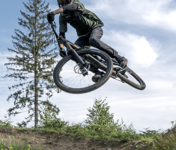 Hoch hinaus, © Axel Volkmer Hoch hinaus, © Axel Volkmer