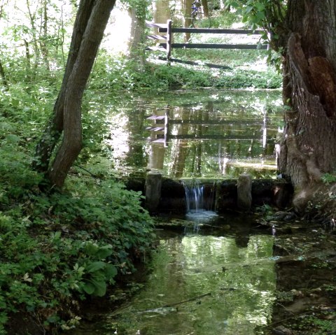 Helje Pötz in der Drover Heide, © Rureifel-Tourismus e.V. Helje Pötz in der Drover Heide, © Rureifel-Tourismus e.V.