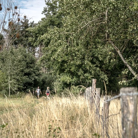 Droverheide, © Dennis Stratmann | Kreis Düren Droverheide, © Dennis Stratmann | Kreis Düren
