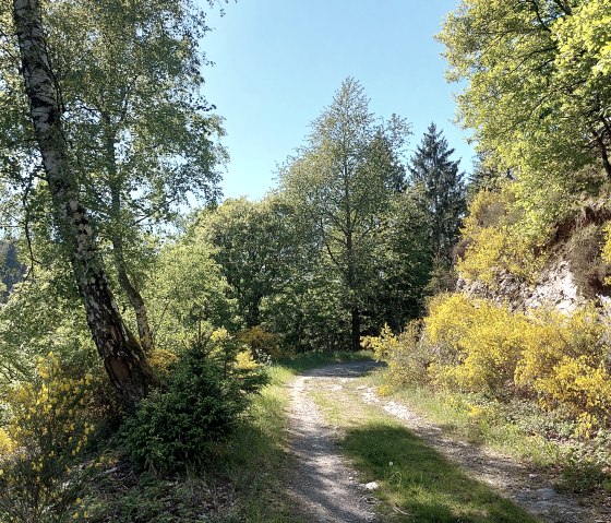 Sommerweg Tiefenbachtal (co) Theißen-Braun Sommerweg Tiefenbachtal (co) Theißen-Braun