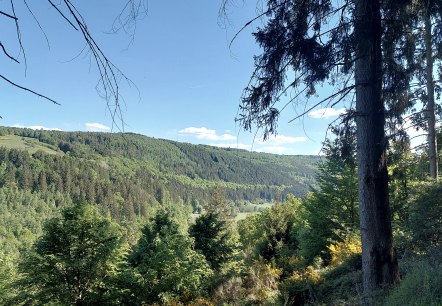 Ausblick Rurtal grün (co) Theißen-Braun Ausblick Rurtal grün (co) Theißen-Braun