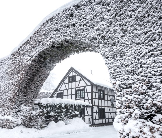 Monschauer Heckenlandschaft im Winter, © Eifel Tourismus GmbH | Dominik Ketz Monschauer Heckenlandschaft im Winter, © Eifel Tourismus GmbH | Dominik Ketz
